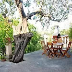 Εξοχικό σπίτι Terrazza Sul Parco *