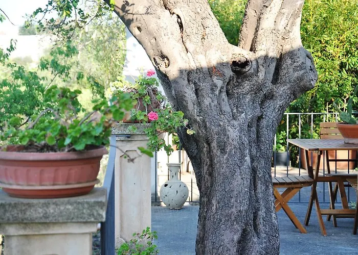 Country house Terrazza Sul Parco