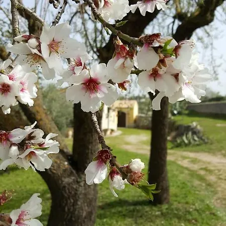 Terrazza Sul Parco Casa di campagna Modica